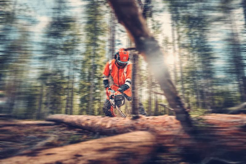 Husqvarna 562XP Chainsaw