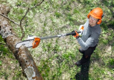 STIHL HT 56 C-E Pole Pruner