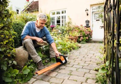 STIHL HSA 45 Hedge Trimmer