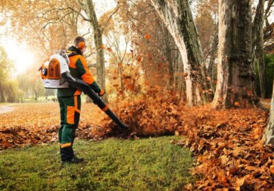 STIHL BR 700 Backpack Blower