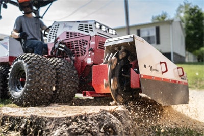 KC220_Kims_Farm_07284