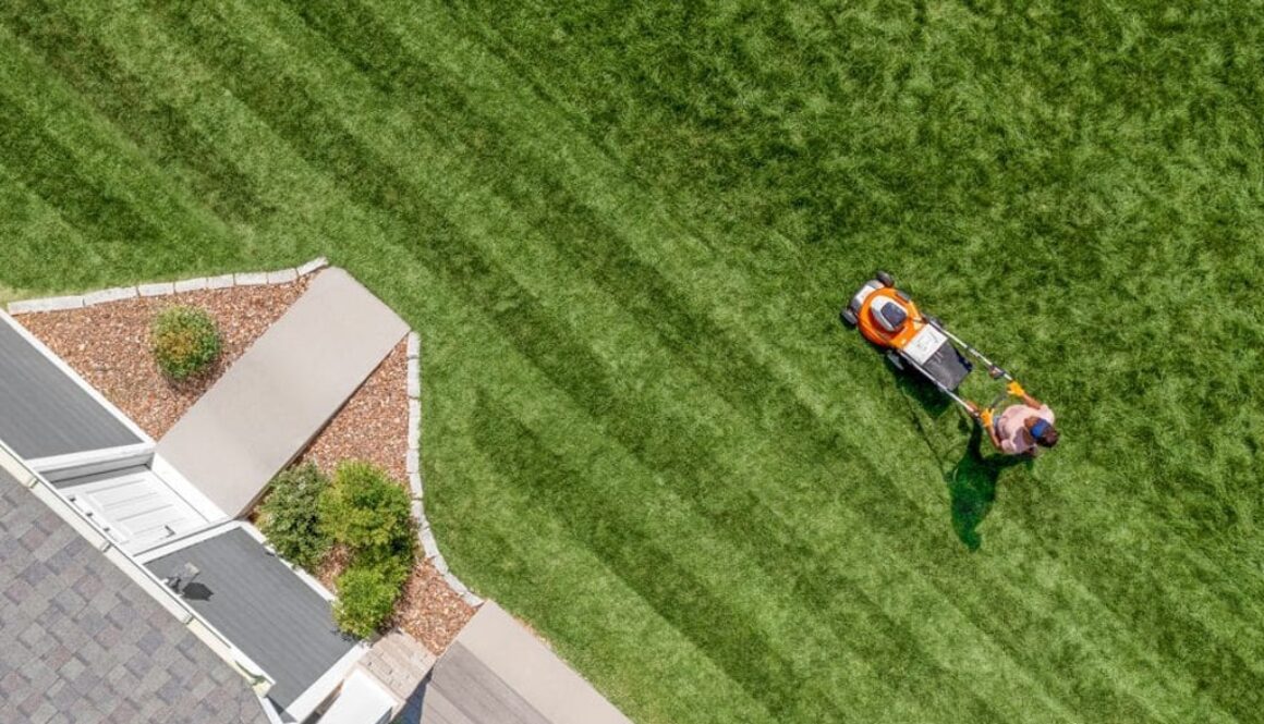 Beyond-the-Lawn-Mower-Specialized-Landscape-Equipment-for-Unique-Gardening-Needs-in-Niagara
